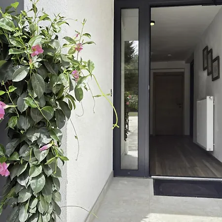 Apartment Typ C-4 By Interhome Rosegg
